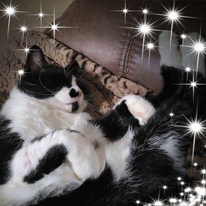 Meet your Posher, Leigh